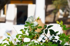 Hotel Oasi Panarea
